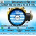 โซลินอยด์วาล์ว SOLENOID VALVE 2W-160-15 220V 4หุน (1/2")